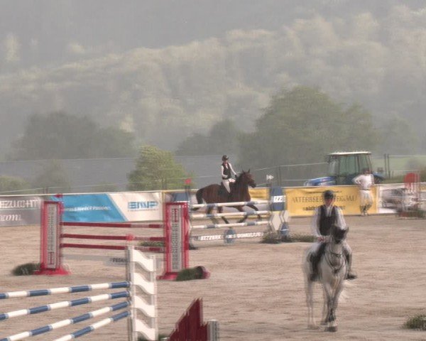 Springturnier Seewalchen 2024
