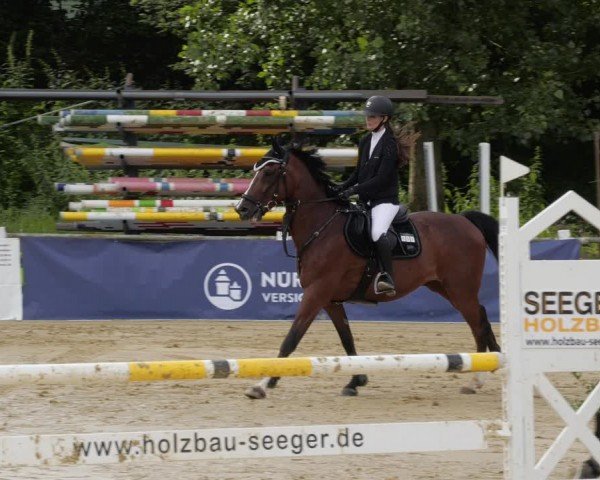 Reitturnier Heddesheim 2024