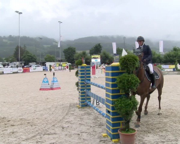 Reitturnier Balsthal 2024