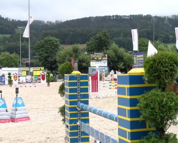 Reitturnier Balsthal 2024