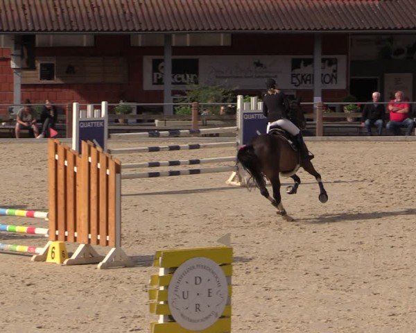 Reitturnier Uder, Reitanlage Kobold 2024