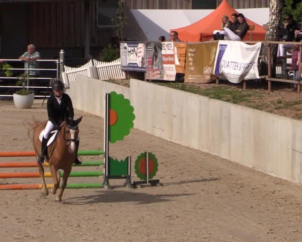 Reitturnier Uder, Reitanlage Kobold 2024