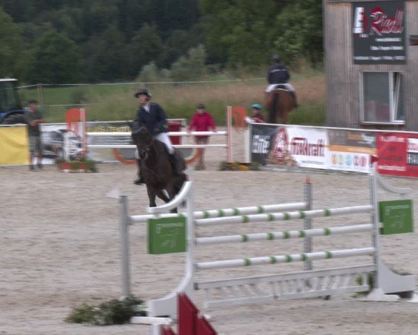 Springturnier Seewalchen 2024