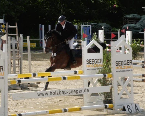 Reitturnier Heddesheim 2024