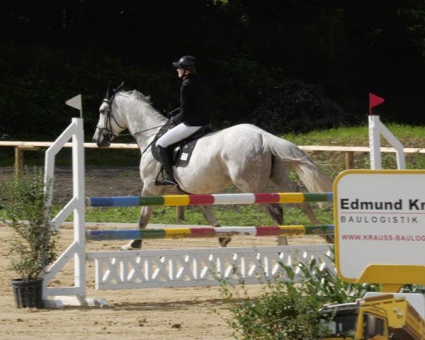 Reitturnier Heddesheim 2024