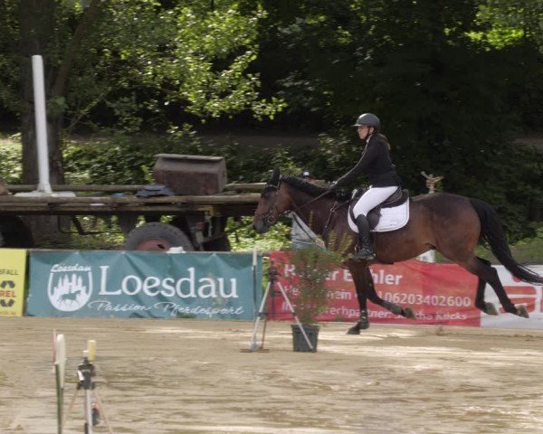 Reitturnier Heddesheim 2024