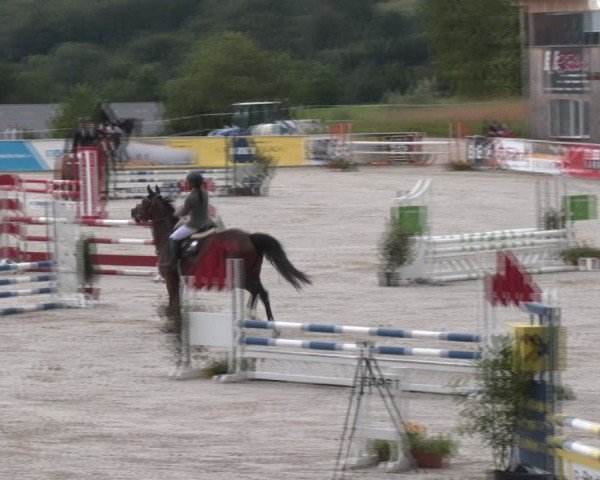 Springturnier Seewalchen 2024