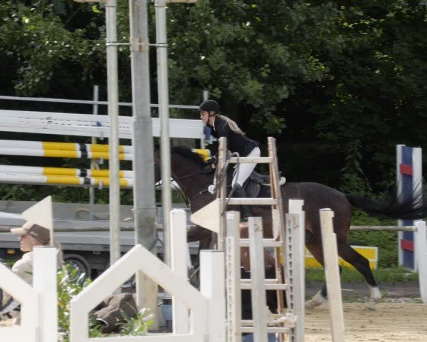 Reitturnier Heddesheim 2024