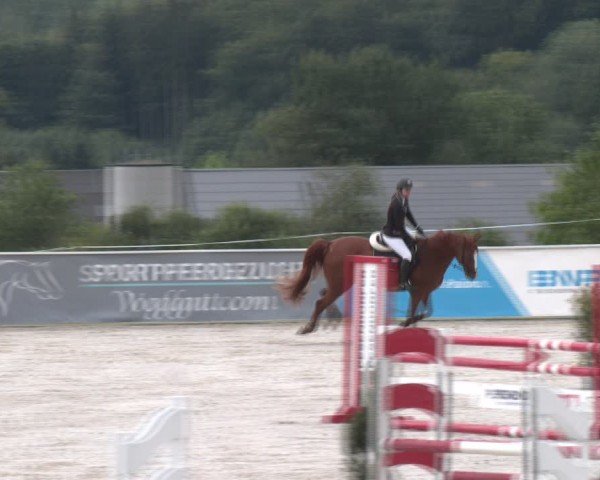 Springturnier Seewalchen 2024