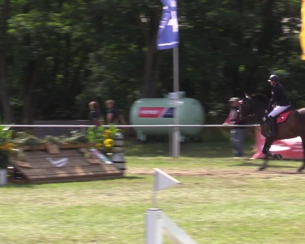 Reitturnier Niederwerbig 2024