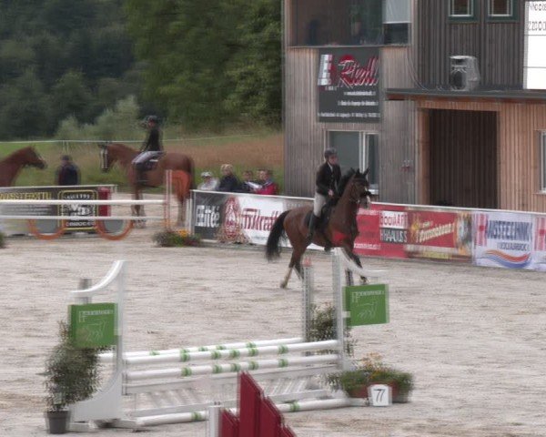 Springturnier Seewalchen 2024