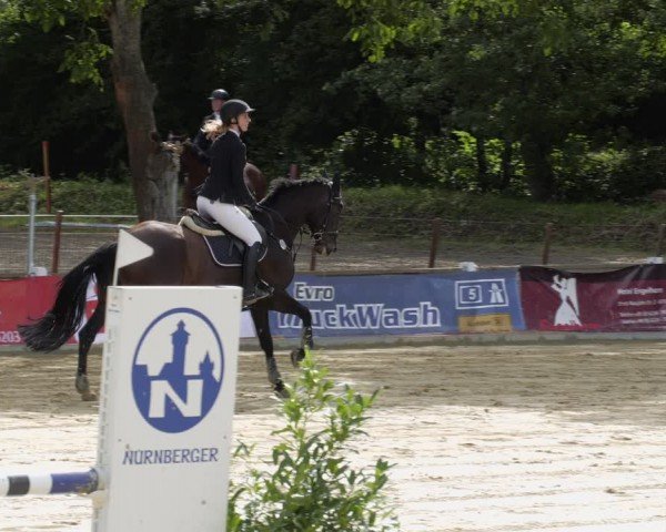 Reitturnier Heddesheim 2024