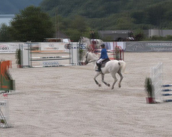 Springturnier Seewalchen 2024
