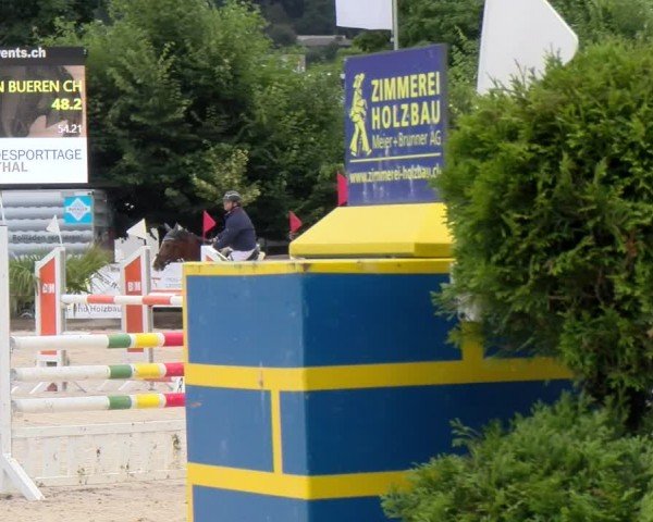 Reitturnier Balsthal 2024