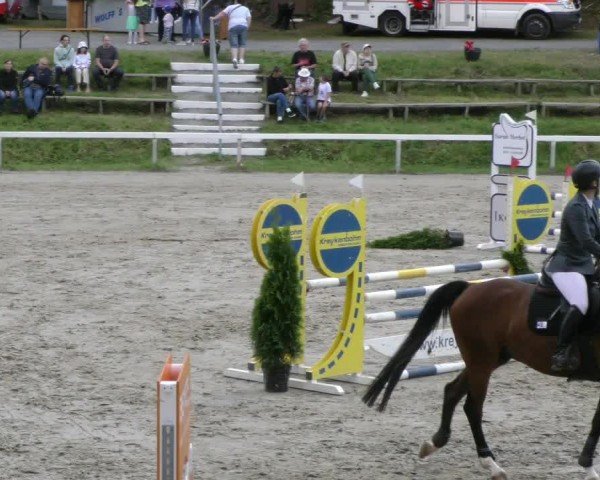 Reitturnier Adelebsen 2024