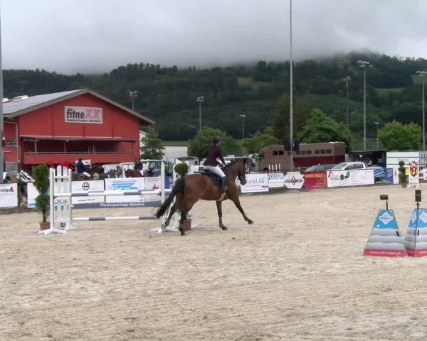 Reitturnier Balsthal 2024