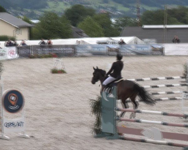 Springturnier Seewalchen 2024