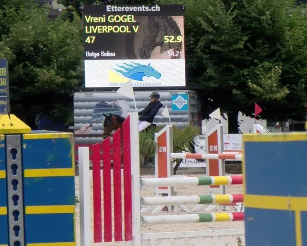 Reitturnier Balsthal 2024