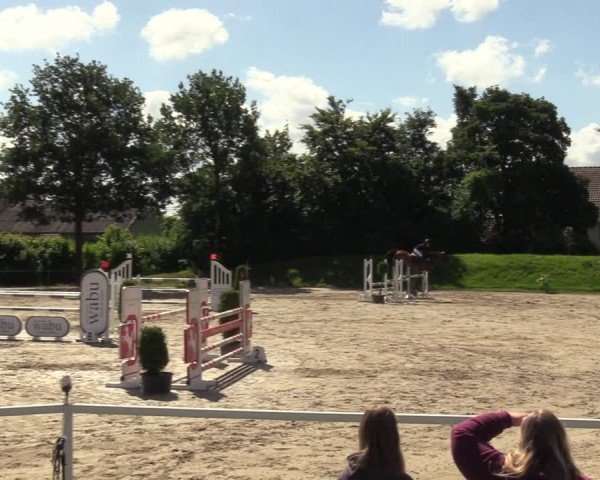 Reitturnier Fröndenberg 2024