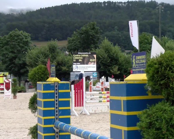 Reitturnier Balsthal 2024