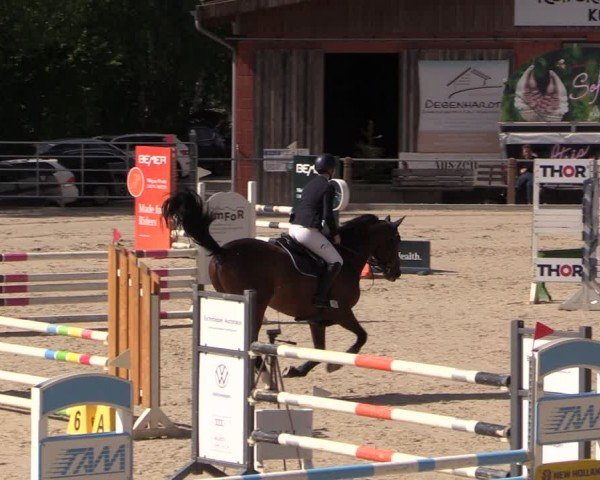 Reitturnier Uder, Reitanlage Kobold 2024
