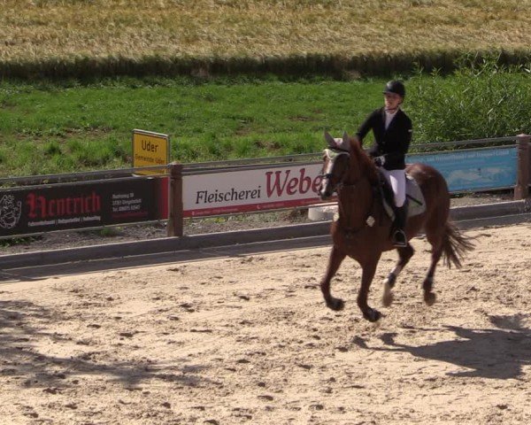 Reitturnier Uder, Reitanlage Kobold 2024