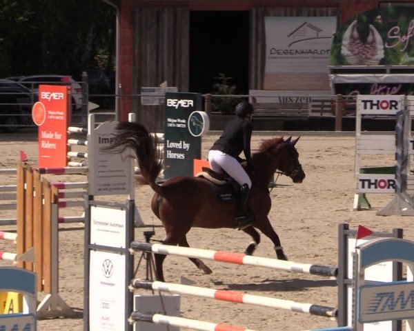 Reitturnier Uder, Reitanlage Kobold 2024