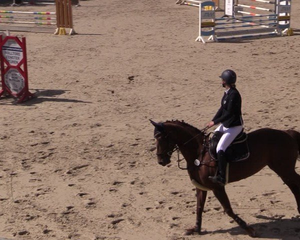 Reitturnier Uder, Reitanlage Kobold 2024