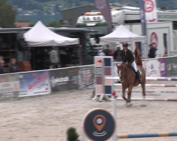 Springturnier Seewalchen 2024