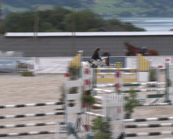 Springturnier Seewalchen 2024