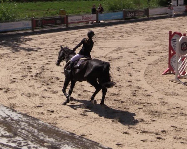Reitturnier Uder, Reitanlage Kobold 2024