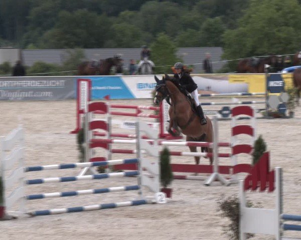 Springturnier Seewalchen 2024