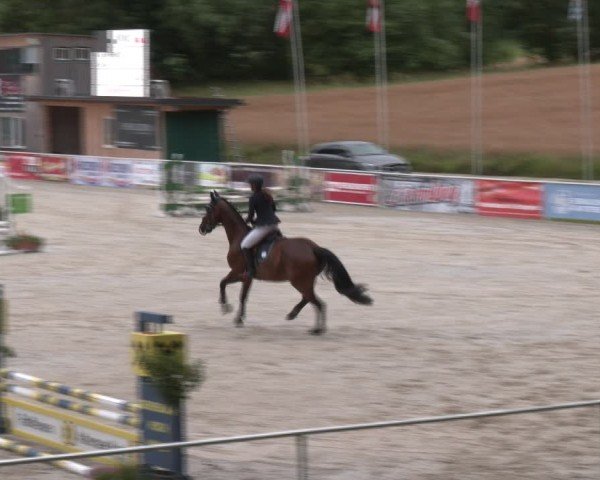 Springturnier Seewalchen 2024