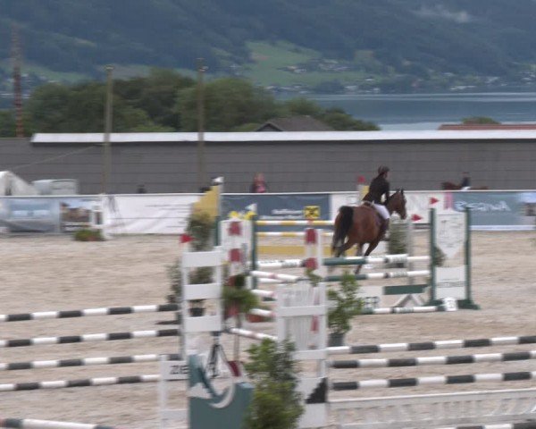 Springturnier Seewalchen 2024