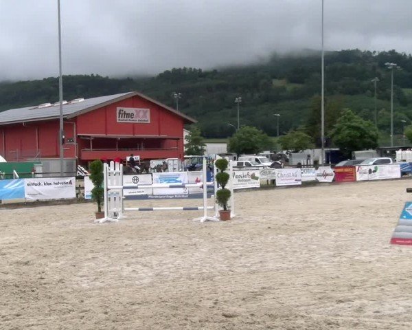 Reitturnier Balsthal 2024