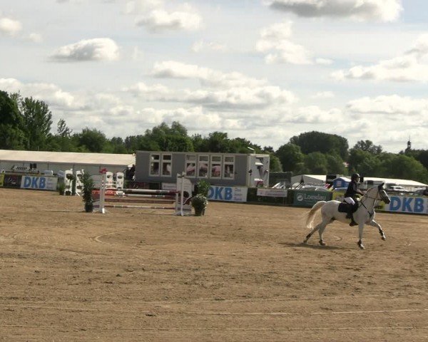 Reitturnier Neustadt/Dosse 2024