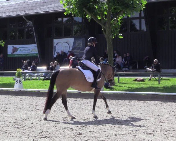 Reitturnier Fröndenberg 2024
