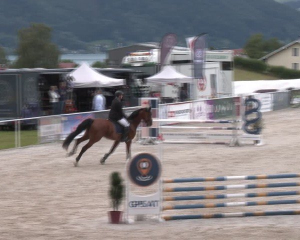 Springturnier Seewalchen 2024