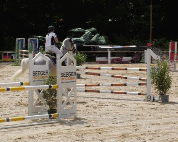 Reitturnier Heddesheim 2024