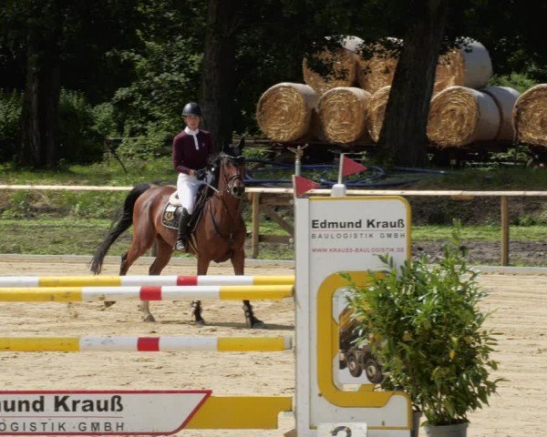 Reitturnier Heddesheim 2024