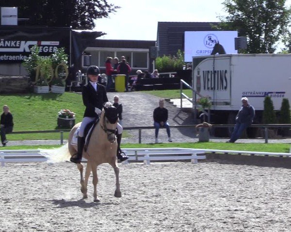 Reitturnier Fröndenberg 2024