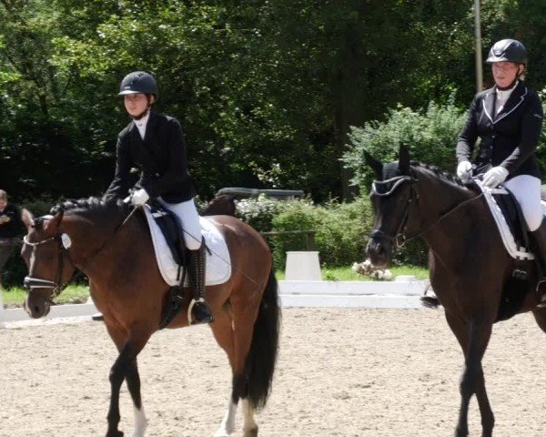 Reitturnier Heddesheim 2024