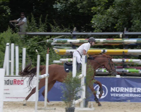 Reitturnier Heddesheim 2024