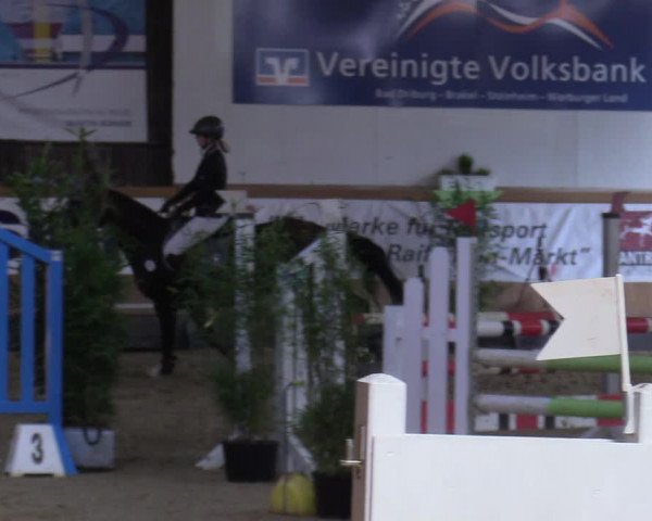 Reitturnier Steinheim 2021