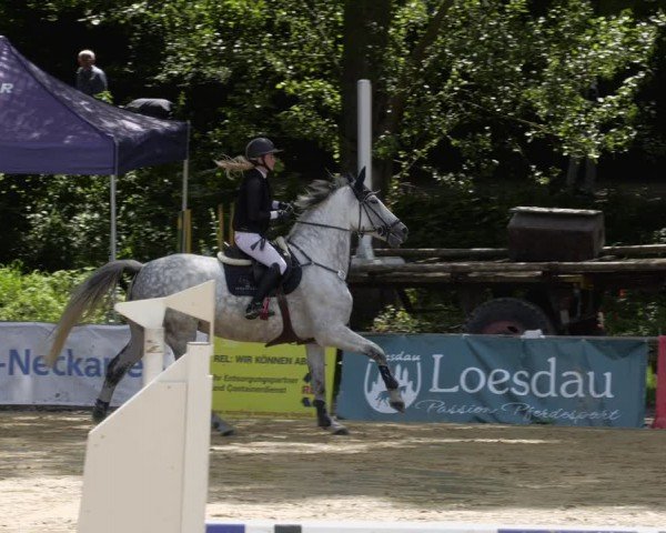 Reitturnier Heddesheim 2024