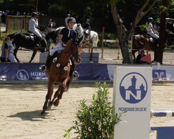 Reitturnier Heddesheim 2024