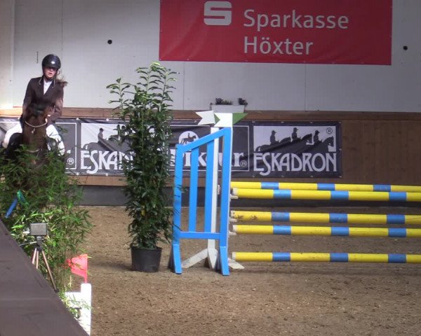 Reitturnier Steinheim 2021