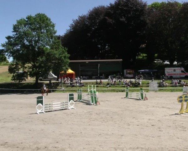 Reitturnier Adelebsen 2024