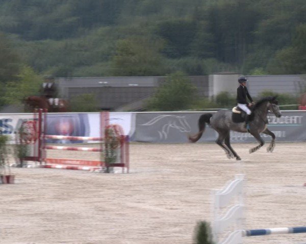 Springturnier Seewalchen 2024