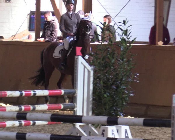 Reitturnier Steinheim 2021